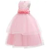 Girl Flougs 2022 Детское платье Европа и Соединенные Штаты, вышитую принцессу в большом ребенке Qidypong Вечер
