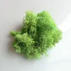 Flores decorativas Koko Flor 20g/50g de alta qualidade Artificial Moss Plants Verde Plantas Casa Decoração de Jardim Micro paisagem DIY