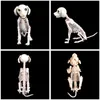 Decora￧￣o de festa Halloween decora￧￣o simula￧￣o Animais Mouse Dog Catrulh Skull Bone Ossos Bar filme de terror assombrado em casa Props Decora￧￵es 220915