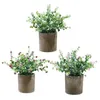 Dekorative Blumen 1PC K￼nstliche Pflanzen Topf Bonsai Gr￼ne Gypsophila Gef￤lschte Ornamente f￼r die Hausgartenparty El Dekoration