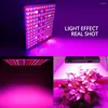 Grow Lights Plants LED Light 35W 65W 100W 110V 220V Full Spectrum For Greenhouse Tent Seedling And Flower