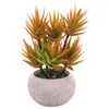 Fiori decorativi Piante Piante grasse in vaso finte artificiali Mini Aloe finta Orchidgrass Portico verde Piccolo vaso di simulazione Desktop