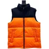 Nouvelle couleur nord hiver hommes bas gilets doudoune décontracté marque sweats à capuche vers le bas Parkas chaud Ski hommes visage gilet 700