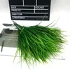 Flores decorativas Planta verde simulada 7 Fork Spring Grass Eucalipto ousadia Bonsai Casa ao ar livre Decoração de jardim Fundo