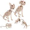 زخرفة الحفلات هالوين محاكاة حيوانات الماوس الكلب القطط جمجمة الحلي العظام الحلي فيلم الرعب Haunted Home Party Props Decorations 220915