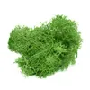 Flores decorativas 20g/40g Moss Grass Artificial Planta eterna vida parede de grama Diy Flor Material Micro paisagem Acessório Jardim doméstico