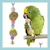 Autres Fournitures Pour Oiseaux Perroquet Pet Bird Cage À Mâcher Jouet Suspendu Corde Grotte Échelle Couleurs Haute Qualité Rat Souris Perlé Twisted Drop Delivery Dhigb