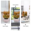 Fiori decorativi Piante Piante grasse in vaso finte artificiali Mini Aloe finta Orchidgrass Portico verde Piccolo vaso di simulazione Desktop