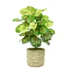 Decorative Flowers Artificial Grass Green High Quality Plants Bonsai Decors Plastic Fake Wall Home Garden Decoration