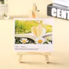 Wooden Mini Easel Stands Table Card Stand holder Small Picture Display Stand for Home Party Wedding Decoration 916