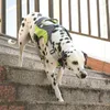 Hundehalsbänder Pet Walk Out Harness Weste Verstellbares, atmungsaktives Mesh-reflektierendes Brusthalsband für kleine, mittelgroße und große Hunde Zubehör C45