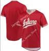 College Baseball Wears College 2022 NCAA Custom Indiana Hoosiers College Stitched Baseball Jersey 12 Alex Dickerson 42 Costa Sirounis 44 Bradley Brehmer 45 John-Bi