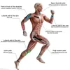 منصات الركبة 1pcs gym litness ضمادة كرة القدم الشريط العضلات العضلات المرنة راحة الآلام الرياضية الانتعاش الرياضي