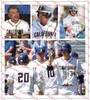 College Baseball Wears College NCAA Custom Cal Bears Baseball Jersey 19 Steven Zobac 39 Vaughn Mauterer 41 Reuben Drogin 6 Aaron Roberts 18 Joe Ammirato 43 Mitch B