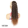 Long Ponytails Extensions Synthetic Drawstring Ponytail Afro Kinky Curly Ponytail Hair Elastic Hairpiece