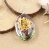Mode JewelryCharms 3 % Charms Ovaal Gedroogde bloem vlinder Gypsophila Life Tree Diy Color Handmade voor kettinghangers