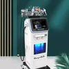 2022 RF Ultrasonic 10 In 1 Hydro dermabrasion facial清掃用の深い洗浄機H2O2アクアクリーンスキンリジュン化装置