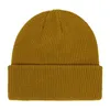 14 Renk Örgü Şapka Erkekler için Kış Basit Yumuşak Unisex Beanie Kafatası Kapakları Sevenler Açık Haval Beyaz Siyah Siyah Sarı Mavi Pembe Yeşil