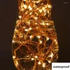 Strings 2/3/4/5/10M 20-100 LED Christmas Garland Silver Copper Wire String Lamp Fairy Lights For Holiday Year Wedding Decoration