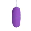 NXY Sex Eggs Volwassen Vibrator Speeltjes Voor Vrouw Remote Controle Remoto Juguetes Uales Para 1110