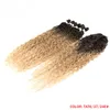 Fashion Synthetic Hair Wefts Extensions Kinky Weave Curly Hair Soft Skin Weft Seamless Clip In Hairs For Woman