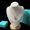 U-formad 2-sektion hänge halsband bröllop uttalande smycken t benben halsband med blå låda födelsedag julklappar