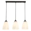 Pendant Lamps Nordic Simple Restaurant Chandelier Modern Creative Art Personality Table Bedroom Bar 3 Ligths Led Lamp Frosted Glass