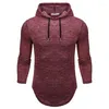 Men's Hoodies Standard European Size Large Fashion Foreign Trade High Quality Hooded Casual Sweater M-2xl