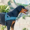 犬の首輪耐久性のあるペットハーネス犬のトレーニングベスト小さな中程度の調整可能な屋外保護襟ピットブル