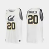 Basketball Cal Bears genähtes Basketballtrikot 3 Paris Austin Trikot 20 Matt Bradley 2 Monty Bowser Joel Brown 33 D.J. Thorp