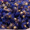 Decorative Flowers Blue Cornflower Petals High Quality Biodegradable Craft Nail Art Decorate Candle Soap Bath Bomb Potpourri Tea Centaurea