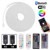 Remsor RGB Neon LED -remsa DC 12V flexibelt band Vattentät band rep Ljuslampa med Bluetooth WiFi App Control Power Kit