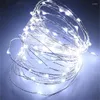 Strings 20 30 40 50 100 LED Holiday String Battery Lights Fairy Micro Transparent Silver Copper Wire For Party Christmas Wedding