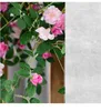 Fleurs décoratives Artificielle 1.8m Rose Rotin Rose Série Enroulement Balcon Fenêtre Décoration Salon Beau Mur Bloc