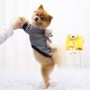 Hundebekleidung 1 Stück Winter Haustier Kleidung Mode Tasche Bär Streifen Muster Sweatshirt Halten Sie Wärme Pomeranian Kleine Hunde Pullover Outfit