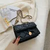 Borsa a catena HBP da donna 2022 nuove borse a tracolla quadrate alla moda a tracolla alla moda Porta carte per portafoglio