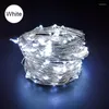 Strings Silver Wire Waterproof Fairy Light DC 6V Christmas Lights Indoor Led Decoracion String For Wedding Garland Party