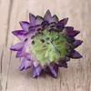 Decorative Flowers 6pcs Realistic Artificial Succulent Small Plastic DIY Plants Unpotted For Home Garden Decoration