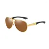 Gafas de sol marca diseño clásico polarizado hombres conducción Sunglass UV400 Vintage gafas de sol revestimiento espejo sombras