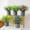Dekoracyjne kwiaty plastikowe kreatywne energooszczędne fałszywe rośliny doniczkowe bez symulacji zapachu Bonsai Innovative Home Decor Decor