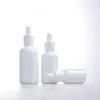 Nouvel emballage cosmétique 10-100 ml bouteille en verre blanc vide de porcelaine avec compte-gouttes à vendre