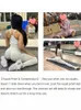 Tweedelige broek voor dames sets dunne tracksuit ademende beha lange mouw top naadloze outfits hoge taille push up leggings gym kleding sportpak 220916