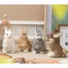 Oggetti decorativi Figurine ZILIN bel coniglio simulato fatto a mano simpatico coniglietto Coniglio pasquale 4 colori per opzione 16x22 cm 220919