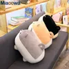 Gevulde pluche dieren 40/50 cm schattig Shiba Inu Dog Toy Soft Animal Corgi Chai Pillow Christmas Gift for Kids Kawaii Valentine Present 220919