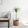 Fiori decorativi Simulazione su larga scala Dracaena Fragrans Scenario in vaso Negozio di abbigliamento Pavimento del soggiorno per interni Ornamenti per piante di alberi finti