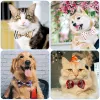 Vêtements pour chiens L Noeuds papillon Bk Pet Bowties Cou Arcs avec collier réglable Toilettage Bowknot pour Noël Anniversaire Vacances Va Packing2010 Amk36