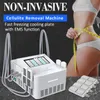 Cryolipolysis EMS Machine Vet oplossen Gewichtsverlies Vet Bevriezen Lichaam Vormgeven Afslankmachines