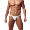 Onderbroek zomermannen zachte ijs zijden ondergoed sexy penis pouch heren slip slipje transparante cool cueca low rise slips hombre