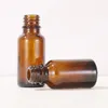 Garrafa de perfume de ￳leo essencial de vidro ￢mbar 5-100 ml e reagente l￭quido Pipete Gotors Cont￪iner com tampa de viola￧￣o preta