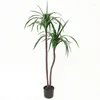 Fiori decorativi Simulazione su larga scala Dracaena Fragrans Scenario in vaso Negozio di abbigliamento Pavimento del soggiorno per interni Ornamenti per piante di alberi finti